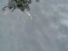 DSC04000.JPG