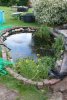 Kleiner Teich2.jpg