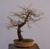 1103_1.jpg