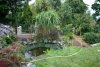 Teich 10.JPG