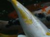 Dsc04766.jpg