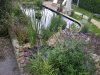 IMG-20120828-00039.jpg