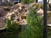 IMG-20120825-00021.jpg