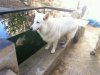 IMG-20121021-WA0019.jpg