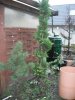 DSCF0900.JPG