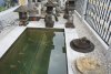 DSC00020.JPG
