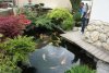 DSC00013.JPG