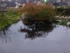 IMG-20131008-00089.jpg