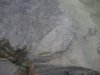 DSCF2599.jpg