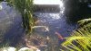 WP_20140530_011.jpg