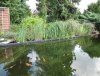 DSC03208.JPG