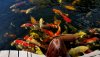 20160818_113819.jpg