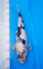 20171007_175618.jpg