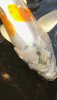 76E80858-FC34-4522-B35B-AEA69F919DAE.jpeg