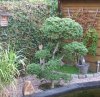 2DSCF0006.JPG