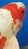 Screenshot_20190731-174525_Gallery.jpg