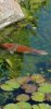 Screenshot_20191003_160343_com.android.gallery3d.jpg