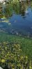 Screenshot_20191003_160419_com.android.gallery3d.jpg