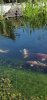 Screenshot_20191003_160405_com.android.gallery3d.jpg