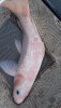 IMG-20200104-WA0002.jpg