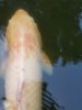 20210713_201623.jpg