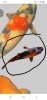 Screenshot_20240307-125106_One Read.jpg