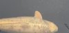 20240316_091805.jpg