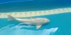 20240605_145746.jpg