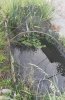 IMG_20240812_204152.jpg