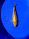 IMG_3642.jpeg