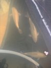 IMG_7430.jpeg