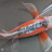 ToHo